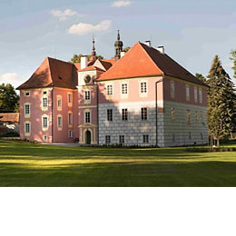 Mitrowicz
