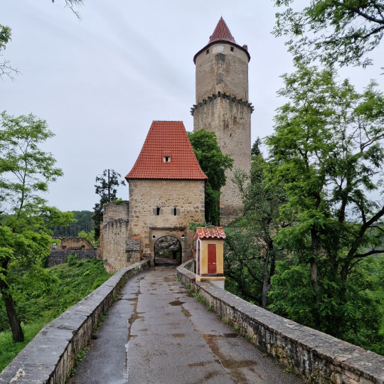 Zvíkov