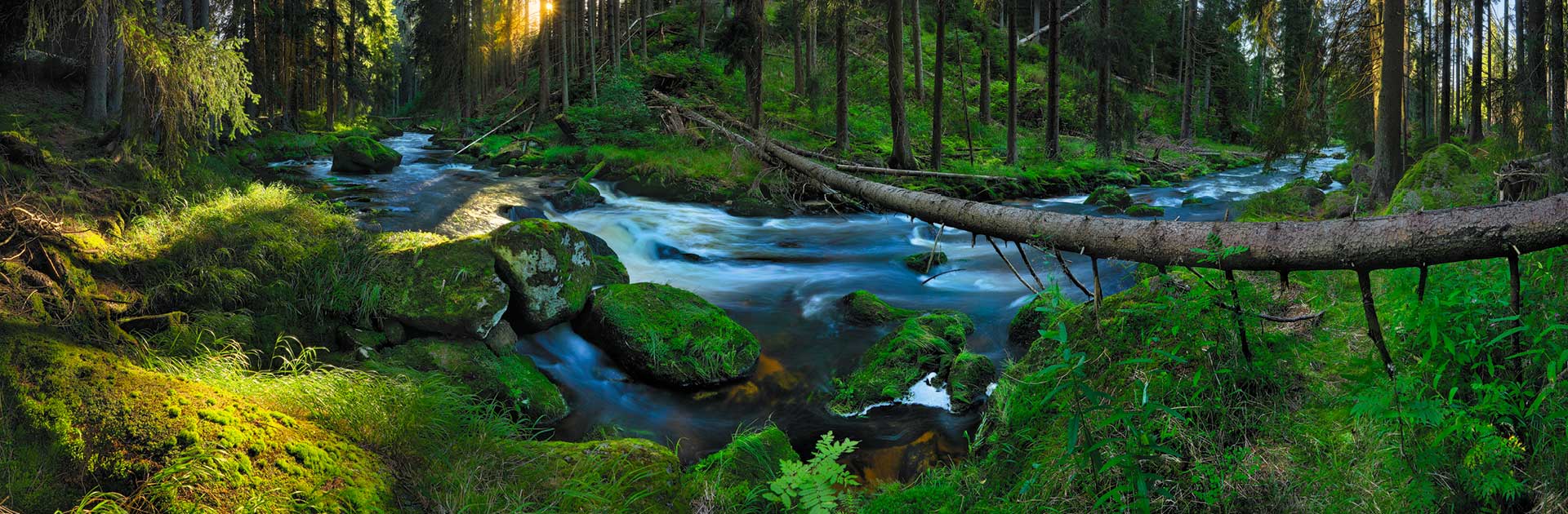 Horní tok Vltavy na Šumavě, foto: Libor Sváček